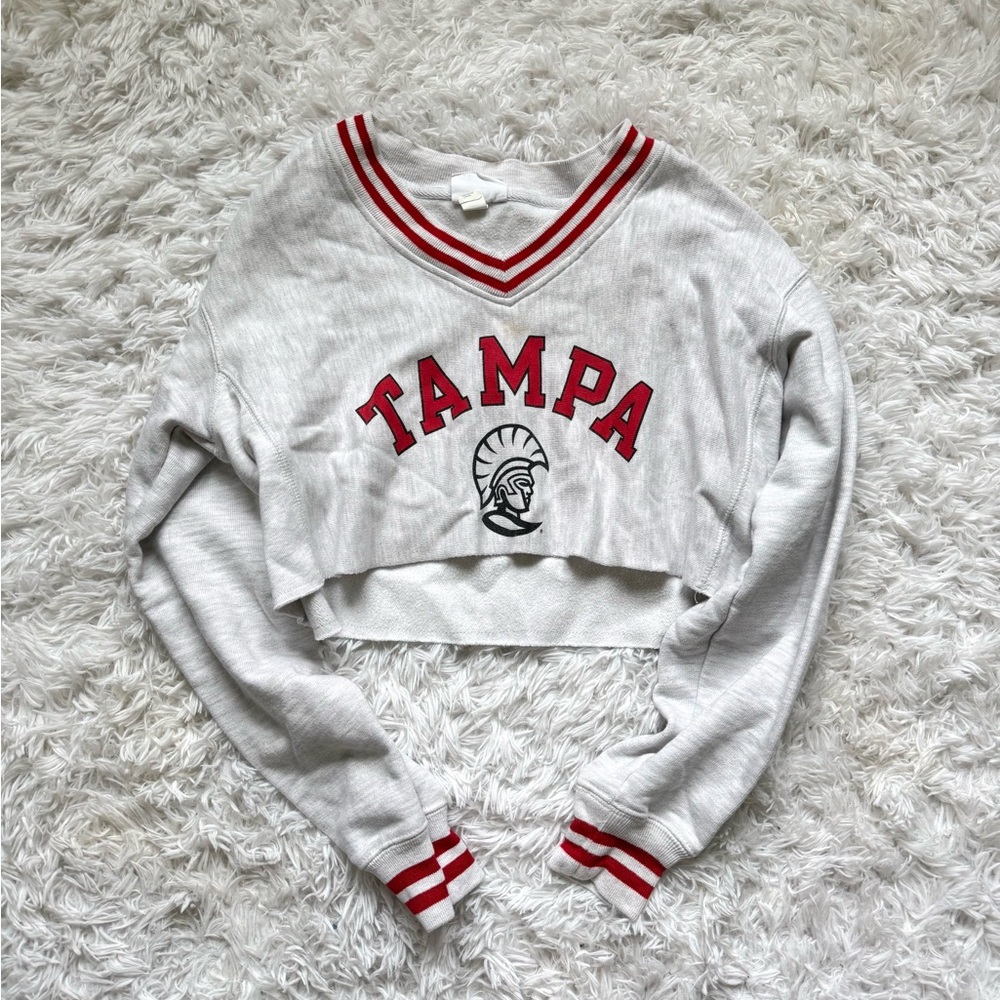 Champion Gray and Red Cropped Sweatshirt